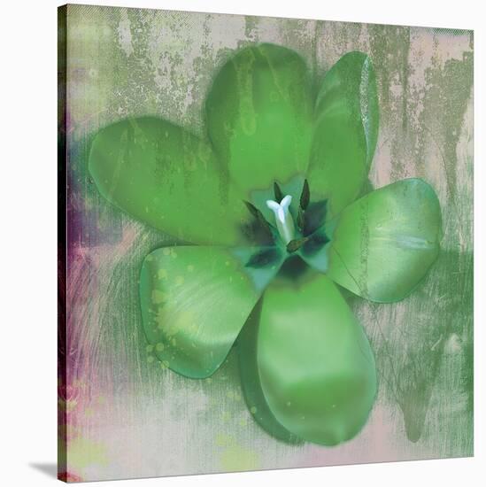 Tulip Fresco (green)-Erin Clark-Stretched Canvas