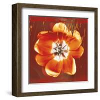 Tulip Fresco (red)-Erin Clark-Framed Art Print