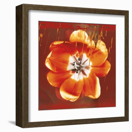 Tulip Fresco (red)-Erin Clark-Framed Art Print