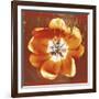 Tulip Fresco (red)-Erin Clark-Framed Art Print