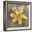 Tulip Fresco (yellow)-Erin Clark-Framed Art Print