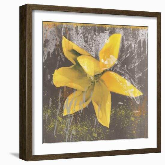 Tulip Fresco (yellow)-Erin Clark-Framed Art Print