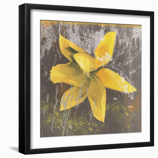 Tulip Fresco (yellow)-Erin Clark-Framed Art Print