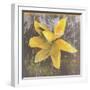 Tulip Fresco (yellow)-Erin Clark-Framed Art Print