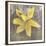 Tulip Fresco (yellow)-Erin Clark-Framed Giclee Print