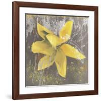 Tulip Fresco (yellow)-Erin Clark-Framed Giclee Print