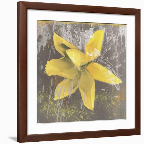 Tulip Fresco (yellow)-Erin Clark-Framed Giclee Print