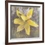 Tulip Fresco (yellow)-Erin Clark-Framed Giclee Print