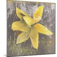 Tulip Fresco (yellow)-Erin Clark-Mounted Giclee Print