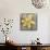 Tulip Fresco (yellow)-Erin Clark-Mounted Giclee Print displayed on a wall