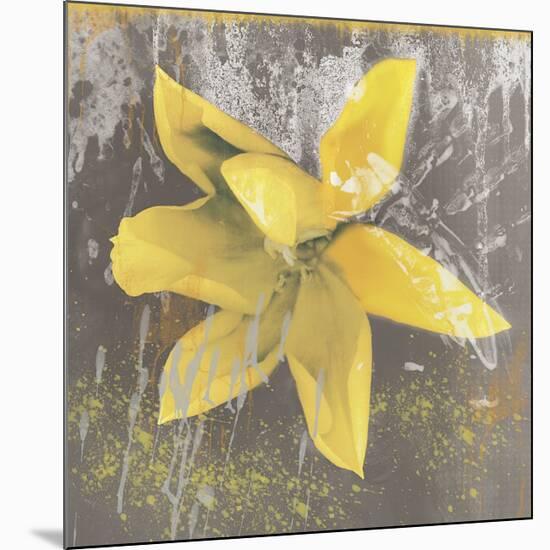 Tulip Fresco (yellow)-Erin Clark-Mounted Giclee Print