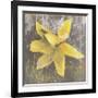 Tulip Fresco (yellow)-Erin Clark-Framed Giclee Print
