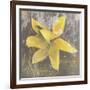 Tulip Fresco (yellow)-Erin Clark-Framed Art Print