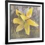 Tulip Fresco (yellow)-Erin Clark-Framed Art Print