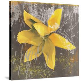 Tulip Fresco (yellow)-Erin Clark-Stretched Canvas