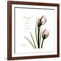 Tulip Friends-Albert Koetsier-Framed Premium Giclee Print