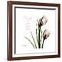 Tulip Friends-Albert Koetsier-Framed Premium Giclee Print