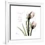 Tulip Friends-Albert Koetsier-Framed Premium Giclee Print