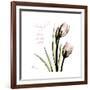 Tulip Friends-Albert Koetsier-Framed Premium Giclee Print