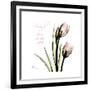 Tulip Friends-Albert Koetsier-Framed Premium Giclee Print