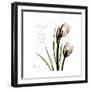 Tulip Friends-Albert Koetsier-Framed Premium Giclee Print