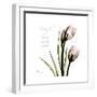 Tulip Friends-Albert Koetsier-Framed Premium Giclee Print