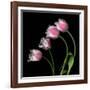 Tulip Frill-Magda Indigo-Framed Photographic Print