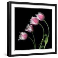 Tulip Frill-Magda Indigo-Framed Photographic Print