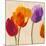 Tulip Funk companion-Luca Villa-Mounted Art Print