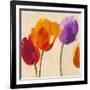 Tulip Funk companion-Luca Villa-Framed Art Print