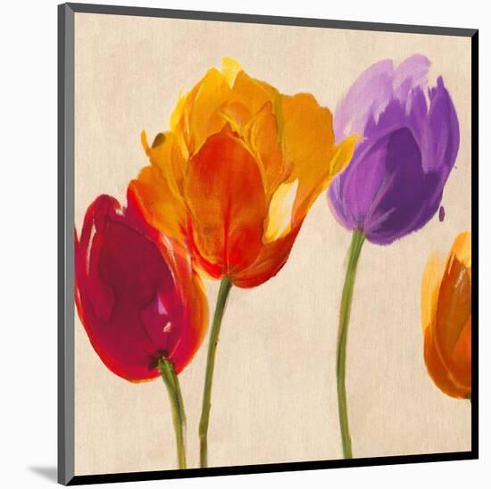 Tulip Funk companion-Luca Villa-Mounted Art Print