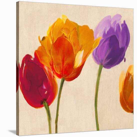 Tulip Funk companion-Luca Villa-Stretched Canvas