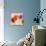 Tulip Funk companion-Luca Villa-Stretched Canvas displayed on a wall