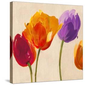 Tulip Funk companion-Luca Villa-Stretched Canvas