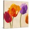 Tulip Funk companion-Luca Villa-Stretched Canvas