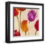 Tulip Funk (detail)-Luca Villa-Framed Art Print