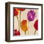 Tulip Funk (detail)-Luca Villa-Framed Art Print