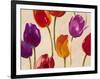 Tulip Funk-Luca Villa-Framed Giclee Print