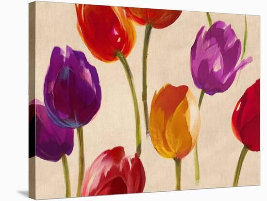 Tulip Funk-Luca Villa-Stretched Canvas