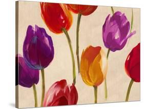 Tulip Funk-Luca Villa-Stretched Canvas