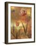 Tulip Garden II-John Seba-Framed Art Print