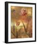 Tulip Garden II-John Seba-Framed Art Print