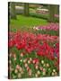 Tulip Garden, Keukenhof Gardens, Lisse, Netherlands, Holland-Adam Jones-Stretched Canvas