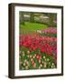 Tulip Garden, Keukenhof Gardens, Lisse, Netherlands, Holland-Adam Jones-Framed Photographic Print