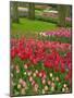 Tulip Garden, Keukenhof Gardens, Lisse, Netherlands, Holland-Adam Jones-Mounted Photographic Print