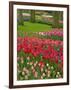 Tulip Garden, Keukenhof Gardens, Lisse, Netherlands, Holland-Adam Jones-Framed Photographic Print