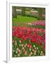 Tulip Garden, Keukenhof Gardens, Lisse, Netherlands, Holland-Adam Jones-Framed Photographic Print