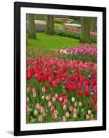 Tulip Garden, Keukenhof Gardens, Lisse, Netherlands, Holland-Adam Jones-Framed Photographic Print