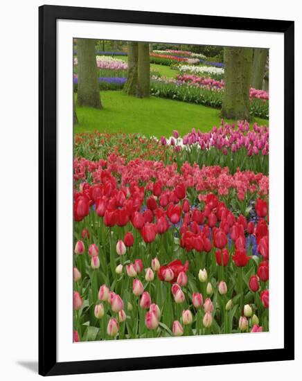 Tulip Garden, Keukenhof Gardens, Lisse, Netherlands, Holland-Adam Jones-Framed Photographic Print