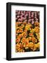 Tulip Garden-Leonard Zhukovsky-Framed Photographic Print